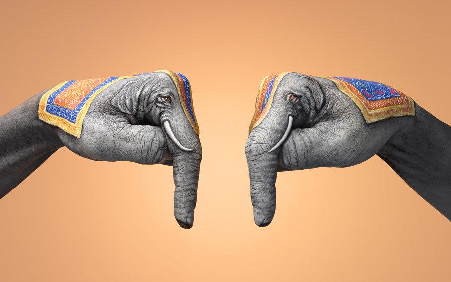 Guido Daniele – Handhumans vs Handimals